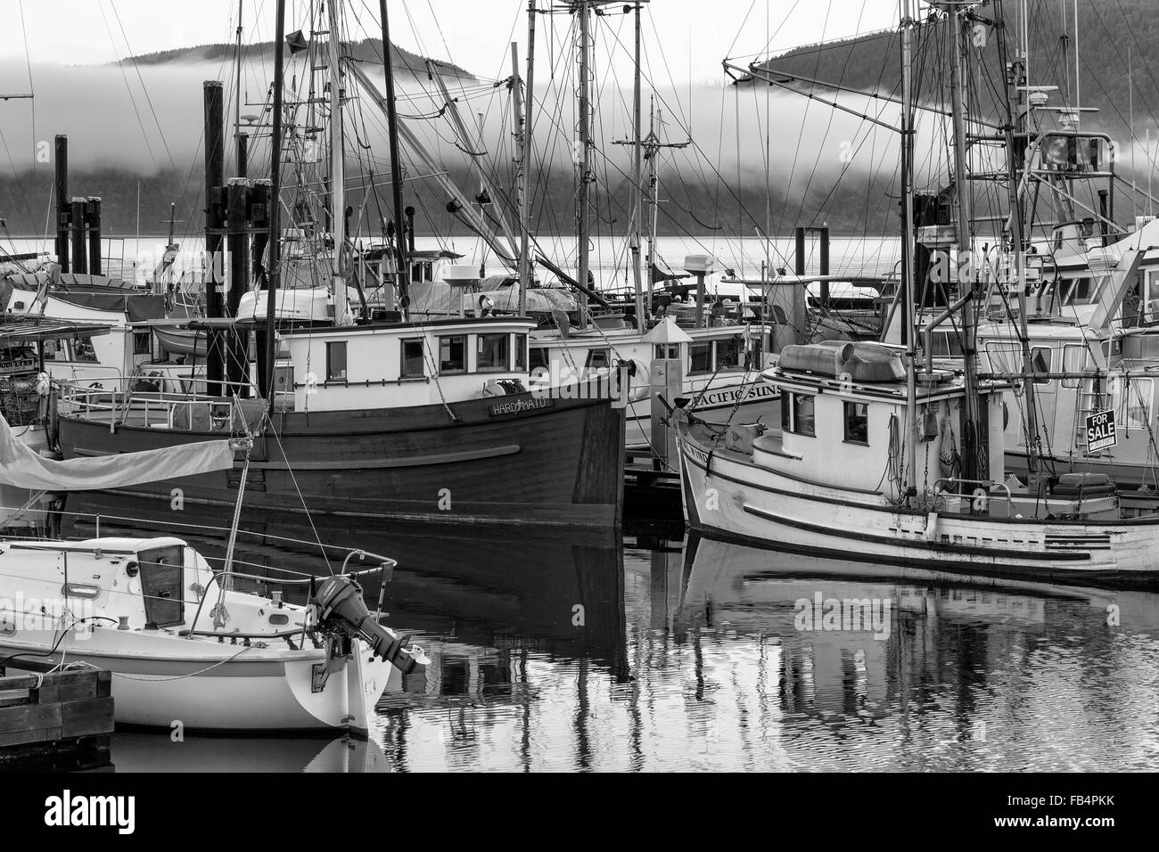 Cowichan Bay Marina ; l'île de Vancouver Banque D'Images