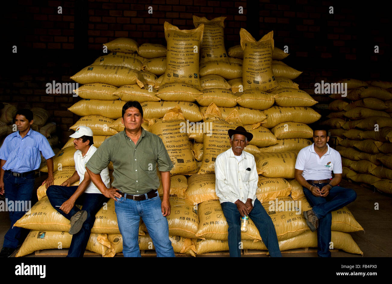 Les travailleurs d'une usine de chocolat en Equateur Banque D'Images