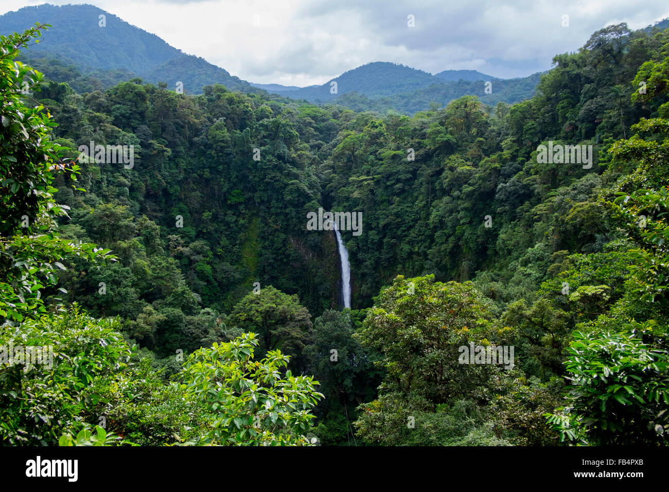 La cascade de La Fortuna à proximité de la ville de La Fortuna, Costa Rica. Banque D'Images