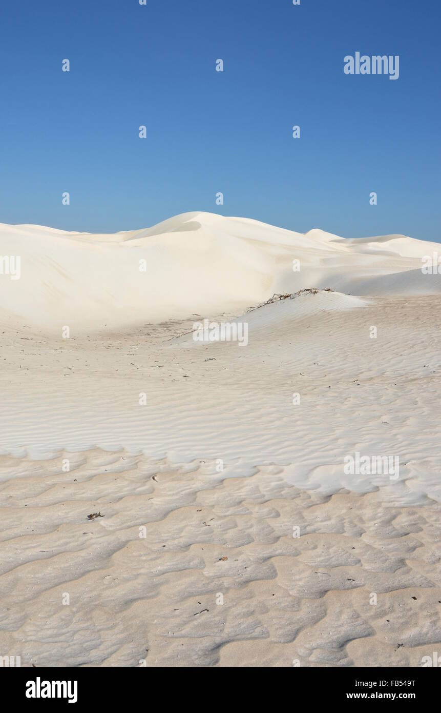 Dunes de sable blanc dans le Parc National de Nambung, Australie occidentale Banque D'Images
