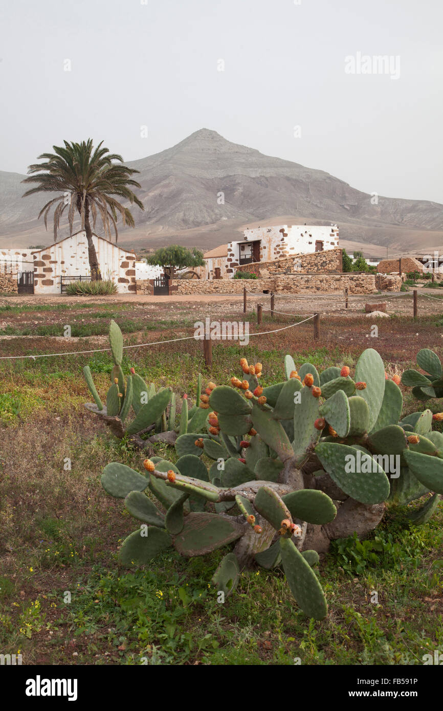 L'île de Fuerteventura Banque D'Images