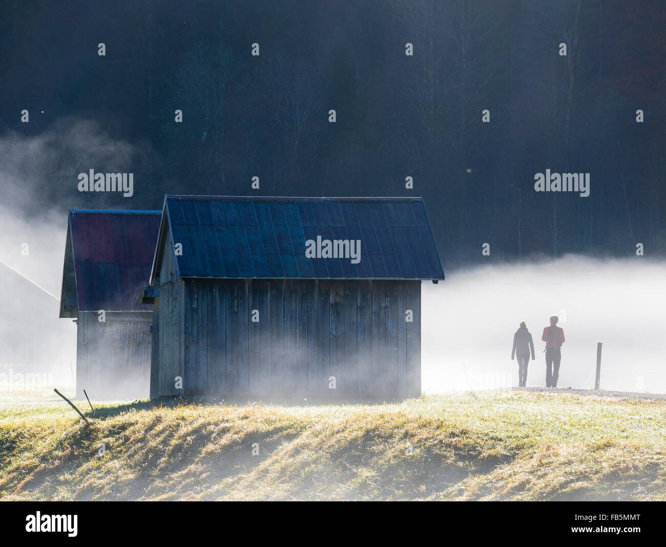 Valley Hinterstein, près de Bad Hindeland alpine, cabane en bois, l'automne, le brouillard. Banque D'Images
