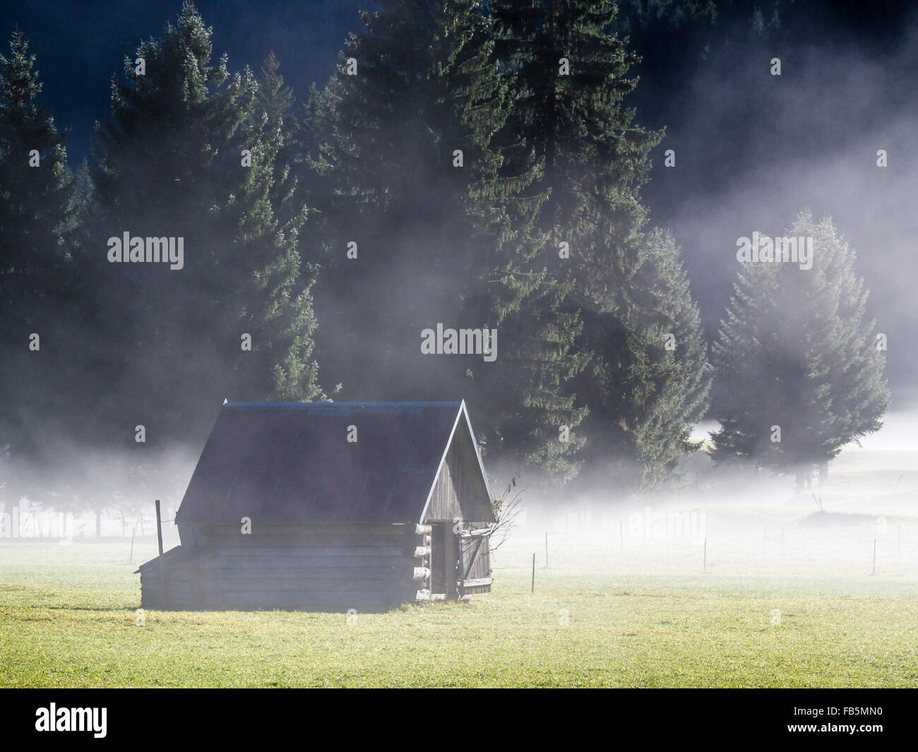 Valley Hinterstein, près de Bad Hindeland alpine, cabane en bois, l'automne, le brouillard. Banque D'Images