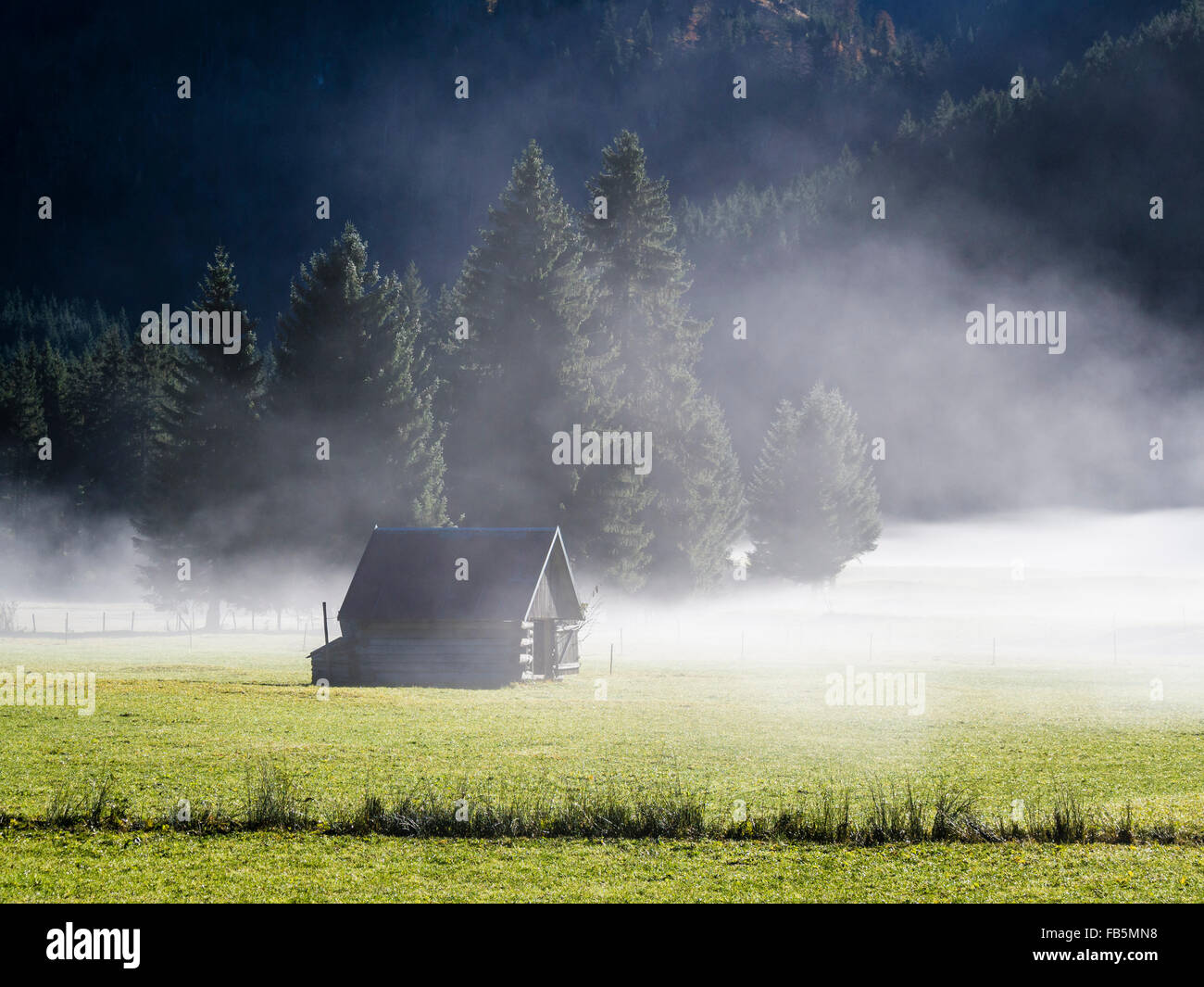 Valley Hinterstein, près de Bad Hindeland alpine, cabane en bois, l'automne, le brouillard. Banque D'Images