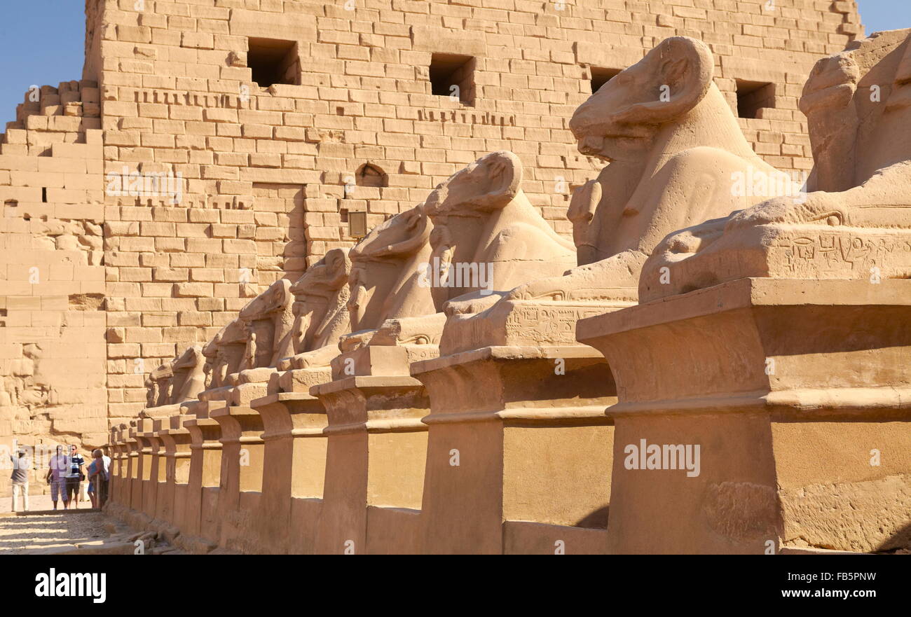 Avenue de béliers dans le Temple de Karnak, Karnak, Egypte Banque D'Images