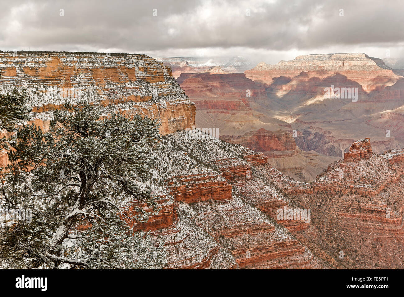 Les falaises et canyons, de Rim Trail près du village, le Parc National du Grand Canyon, Arizona USA Banque D'Images