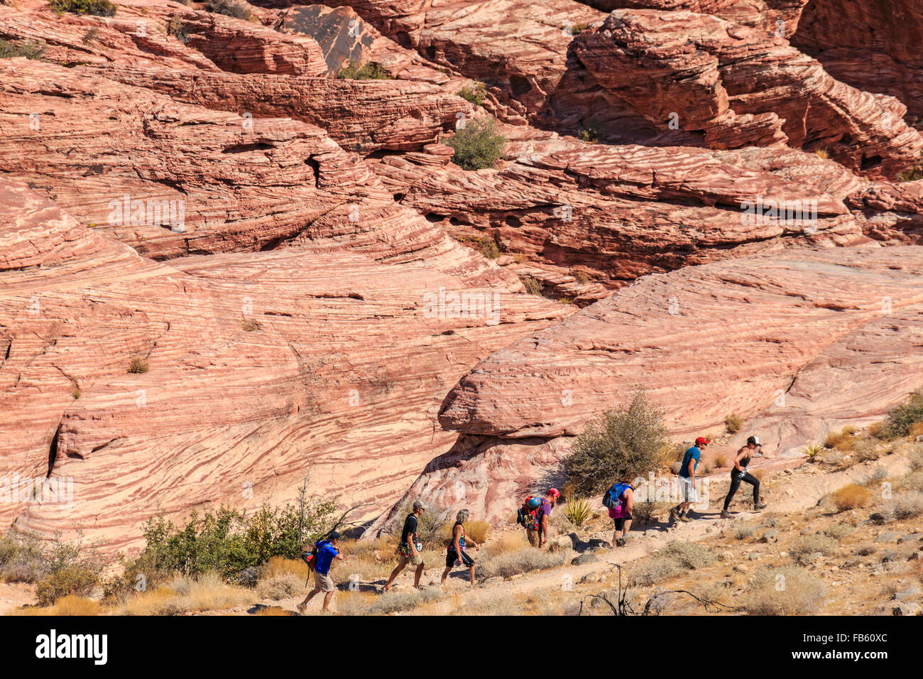 Les randonneurs parmi les roches rouges de la zone 1 dans le Calico Calico Hills de Red Rock Canyon National Conservation Area Banque D'Images