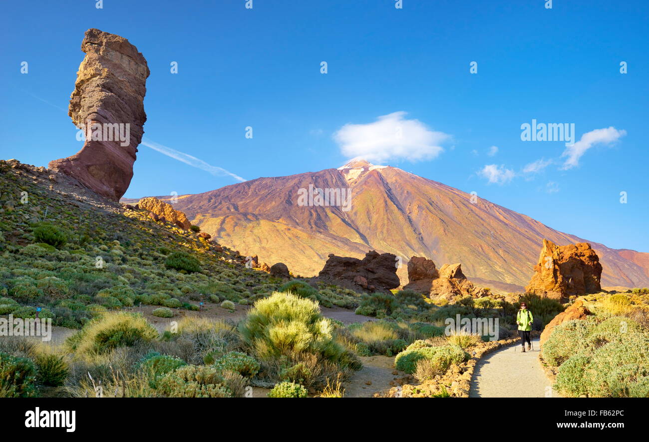 Tourisme dans le Parc National du Teide, Canaries, Tenerife, Espagne Banque D'Images
