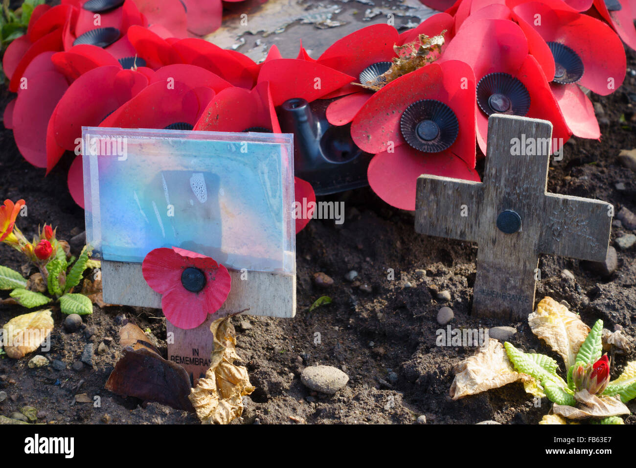 Coldstream, Ecosse, protections memorial garden Henderon Park. Couronne de pavot souvenir. Banque D'Images