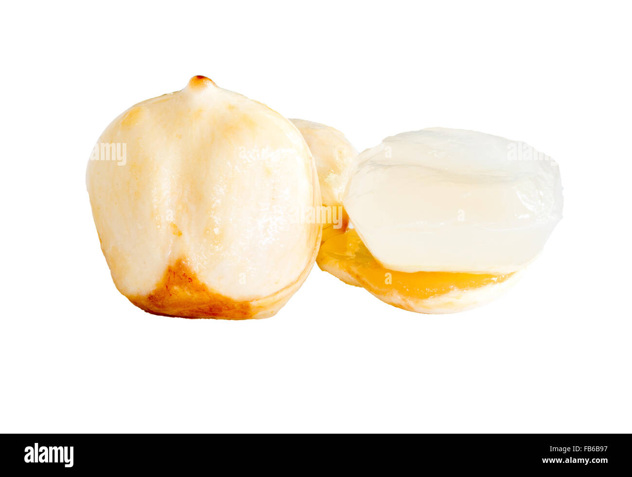 Palmyre asiatique Palm, Palm Toddy isolé sur fond blanc. Banque D'Images