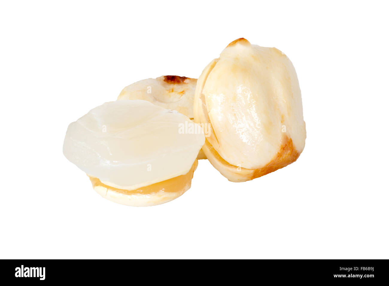 Palmyre asiatique Palm, Palm Toddy isolé sur fond blanc. Banque D'Images