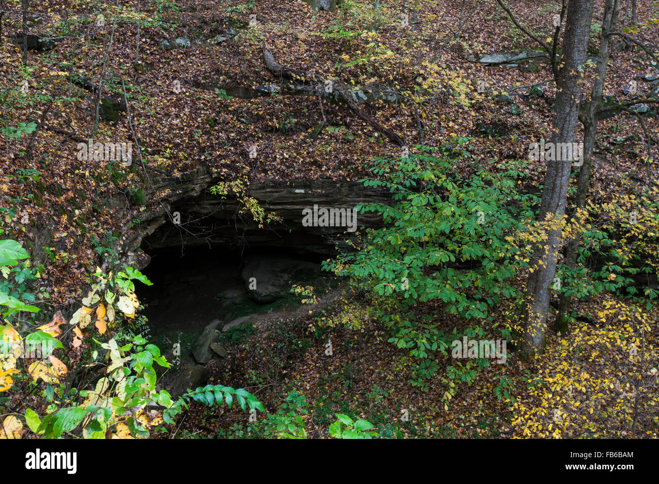 Entrée de la grotte de sable, parc national de Mammoth Cave, Kentucky, États-Unis d'Amérique Banque D'Images