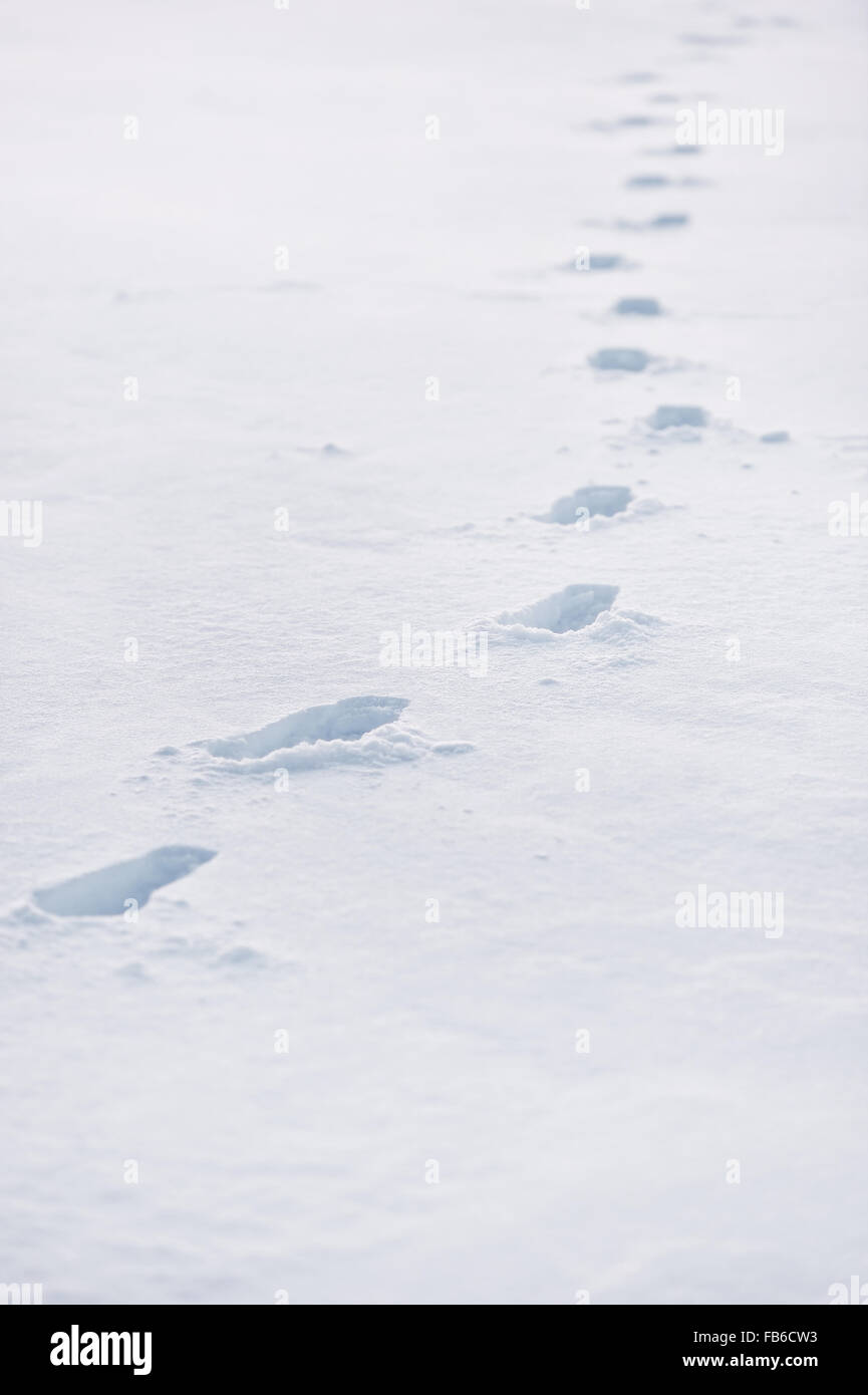 Scène d'hiver avec des traces de pas dans la neige poudreuse Banque D'Images