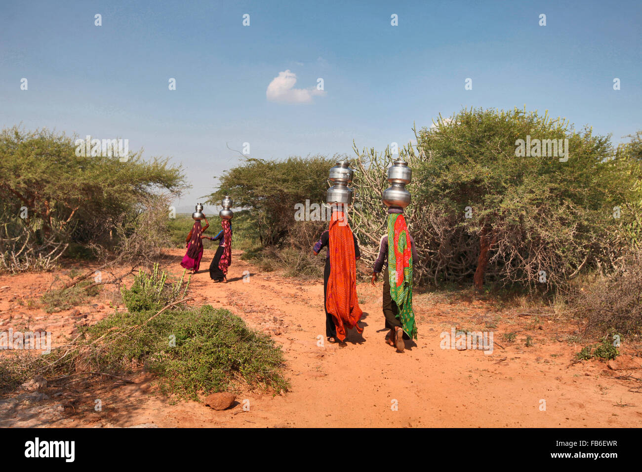 Dhebaria Rabari, tribu des femmes portant des pots, l'eau du district de Kutch, Gujarat, Inde Banque D'Images