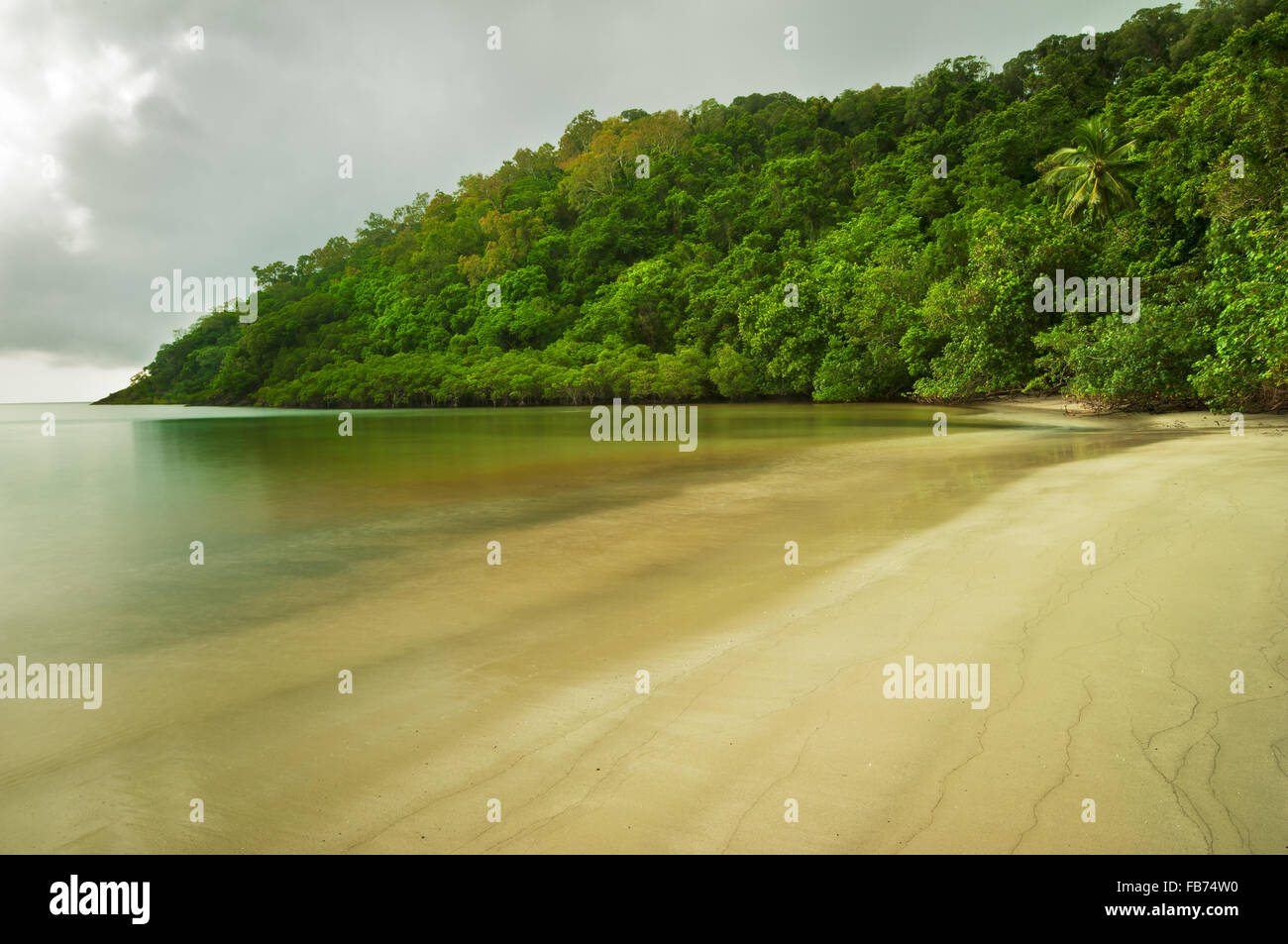 La forêt tropicale rencontre la mer à Cape Tribulation dans le parc national de Daintree. Banque D'Images