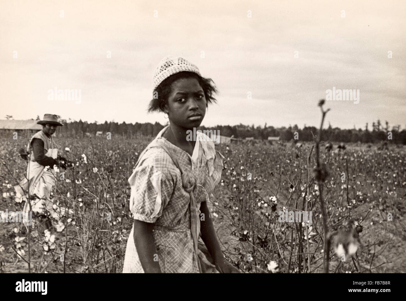 Cueilleurs de coton, coton picking, l'Amérique, 1930 Banque D'Images