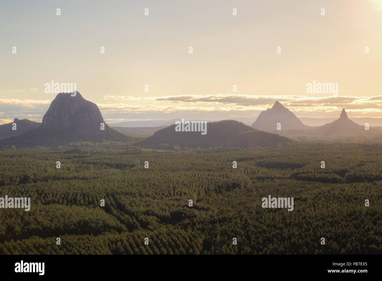 Le Glasshouse Mountains dans le Queensland, en Australie, vu de l'Cheval Sauvage Montagne Lookout près de Caboolture. Banque D'Images