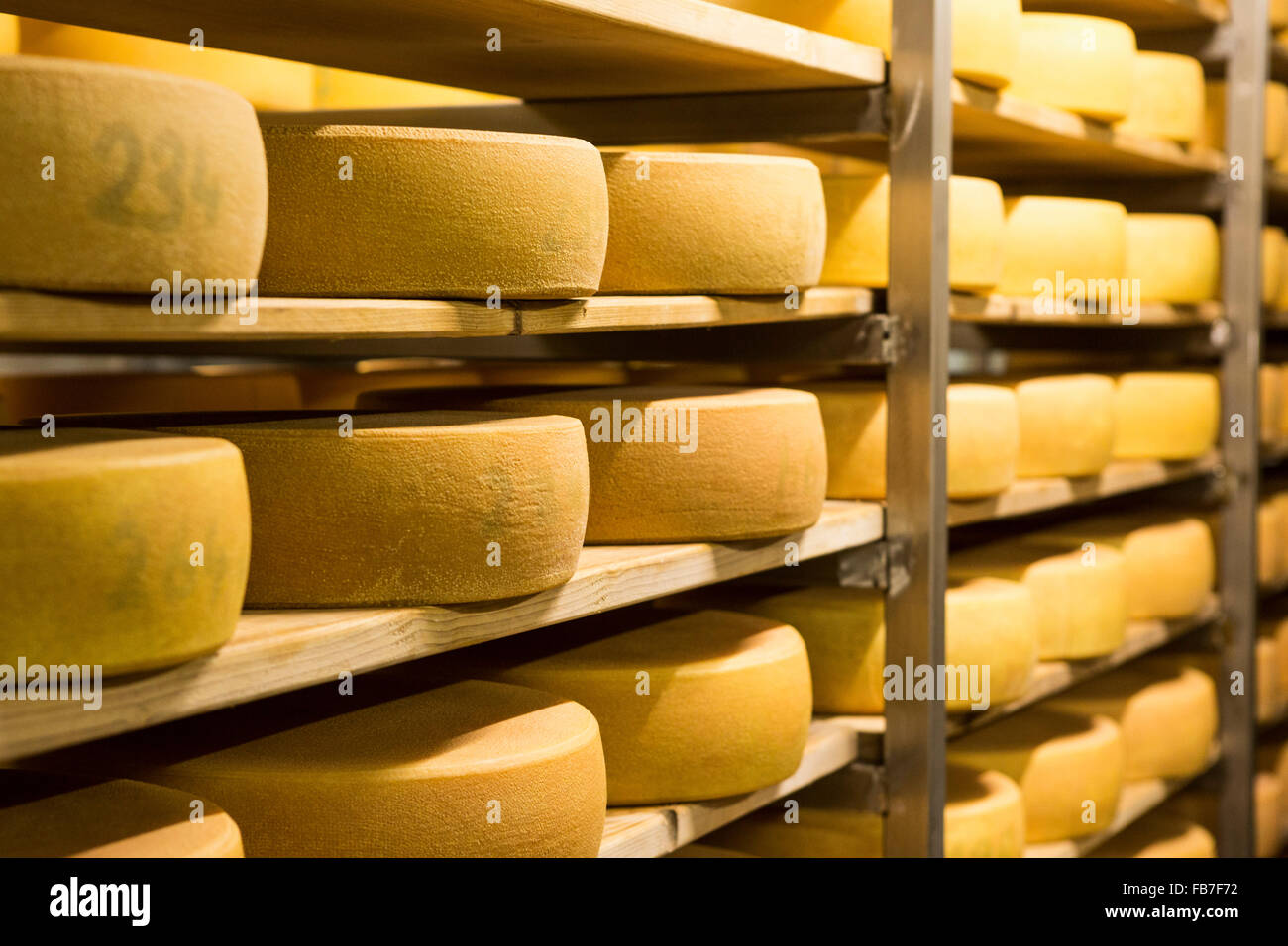 Fromage disposés sur des étagères à l'usine Banque D'Images