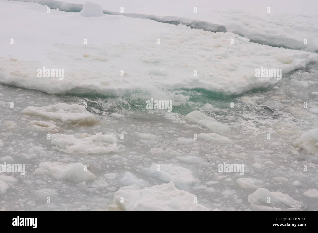 La glace de mer flottante avec des éclaboussures des vagues dans l'Antarctique. Banque D'Images