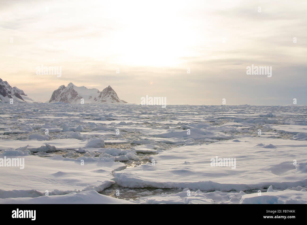 Champ de glaces à l'embouchure du Canal Lemaire au coucher du soleil en été. Banque D'Images