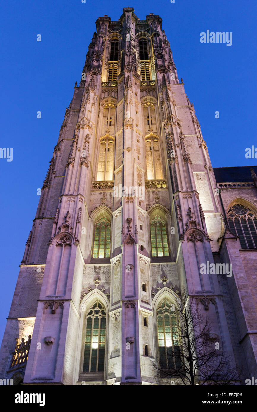 La Cathédrale Saint Rumbold à Mechelen en Belgique le matin Banque D'Images