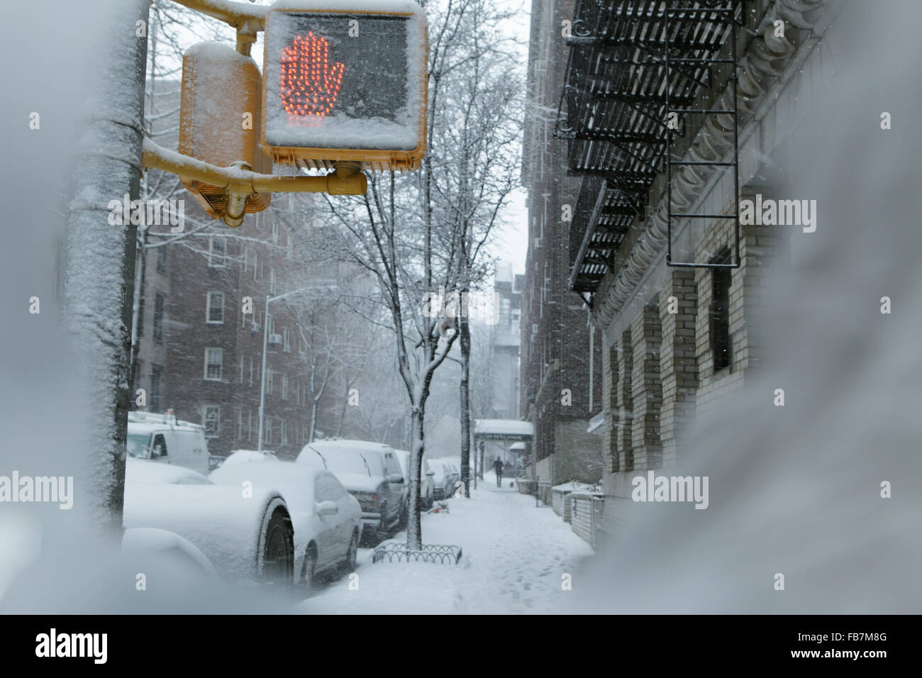 La neige a couvert Brooklyn street crossing panneau de circulation en hiver. La neige tombe au cours d'une tempête à la fin de l'hiver dans le Brooklyn Heights Banque D'Images