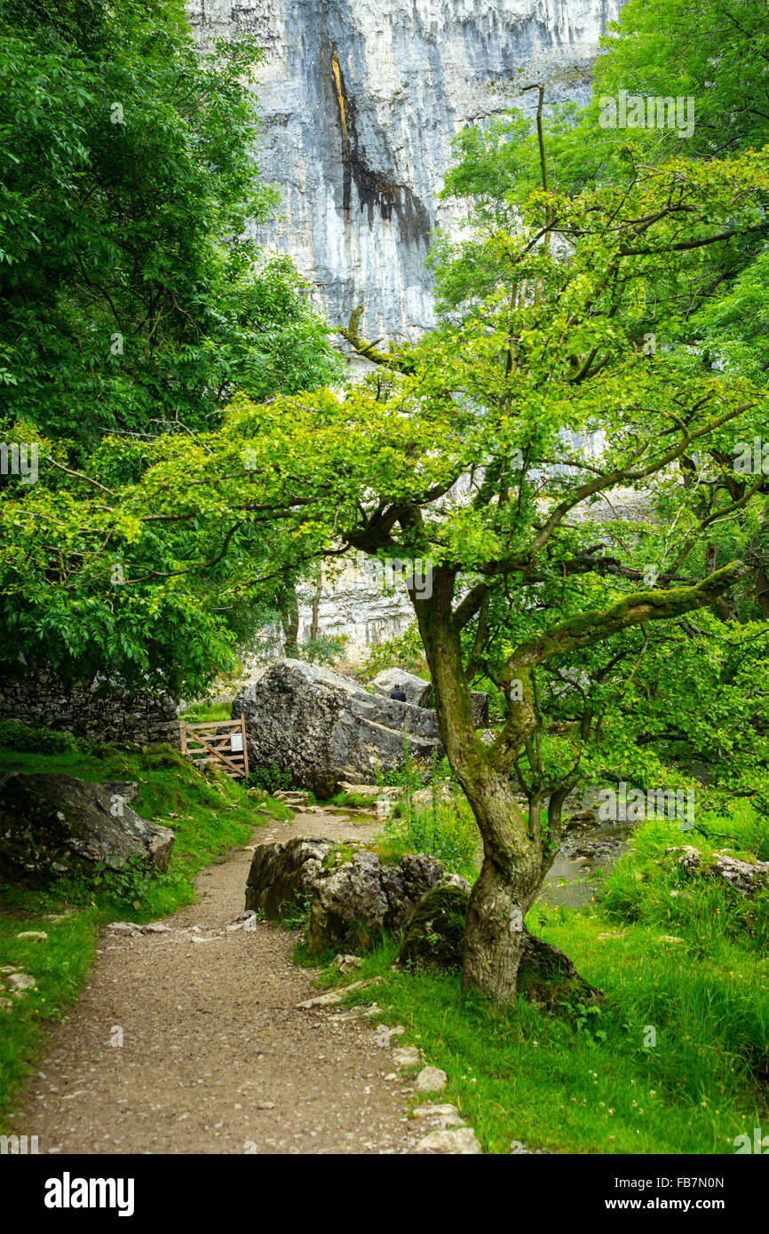 Malham Cove, Yorkshire Dales, Angleterre Banque D'Images