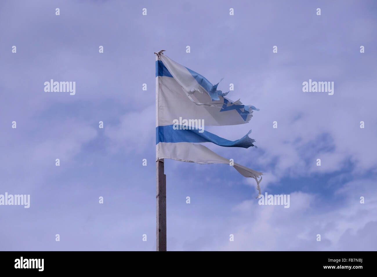 Israël, Cisjordanie. 11 janvier, 2016. Drapeau israélien déchiqueté en Esh Kodesh qui est un petit établissement situé à l'avant-poste israélien à l'extérieur des limites de son parent colonie juive près de Shilo les villages palestiniens de Qusra, en Cisjordanie, Israël le 11 janvier 2016 Le Shiloh Valley abrite une chaîne de colonies de peuplement illégales, il y a un permanent de règlement des différends entre l'ESH Kodesh colons et Palestiniens à proximité village Qusra sur la propriété des terres. Credit : Eddie Gerald/Alamy Live News Banque D'Images