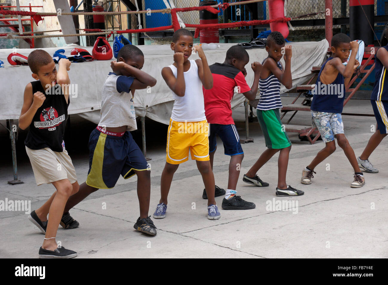 Les garçons dans la catégorie boxe sport à Rafael Trejo, La Havane, Cuba Banque D'Images