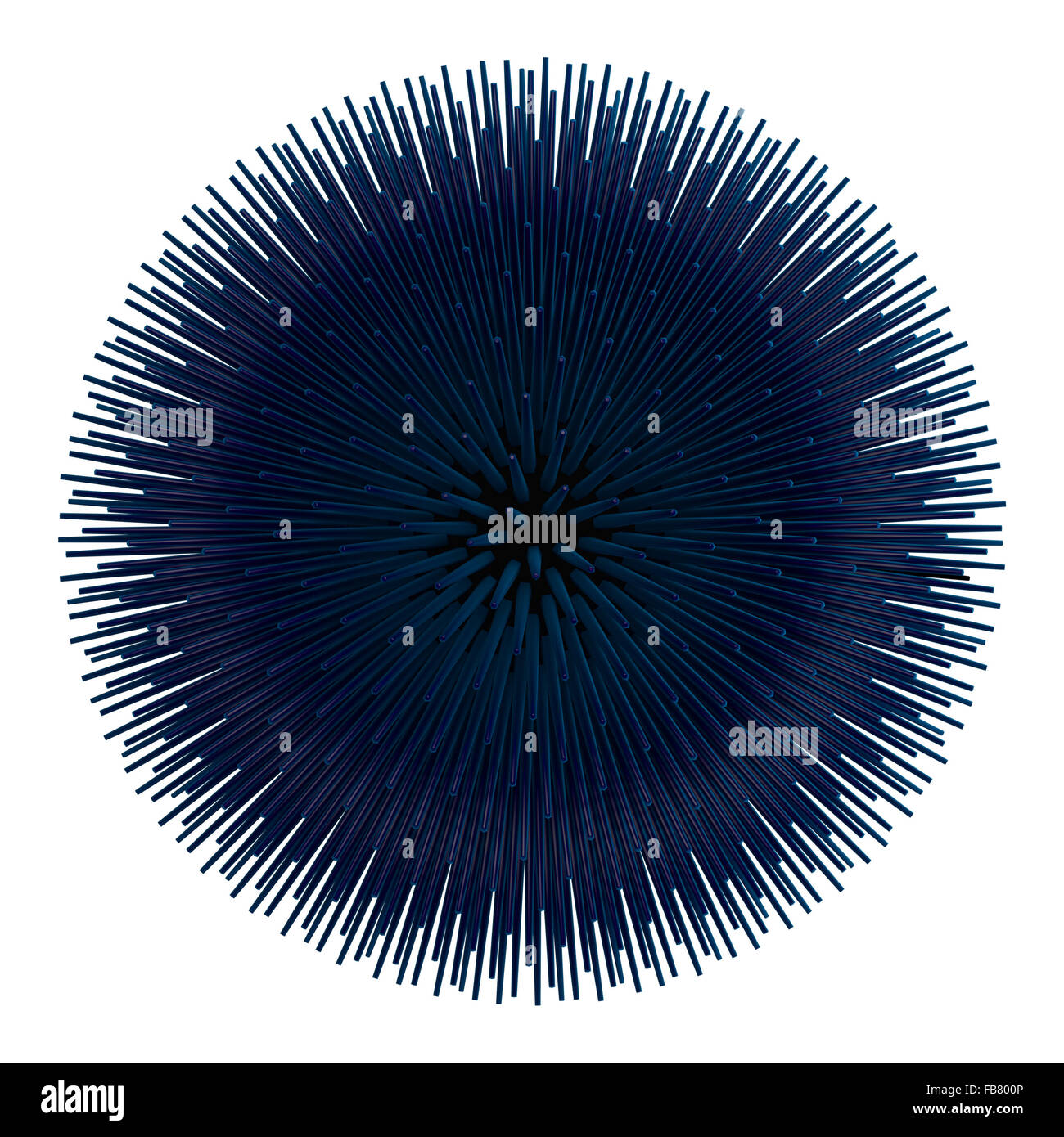 Un joli arrangement spike de l'oursin. Épines dupliquées en fonction du nombre d'or / la spirale de Fibonacci. Banque D'Images Un joli arrangement spike de l'oursin. Épines dupliquées en fonction du nombre d'or / la spirale de Fibonacci. Banque D'Images