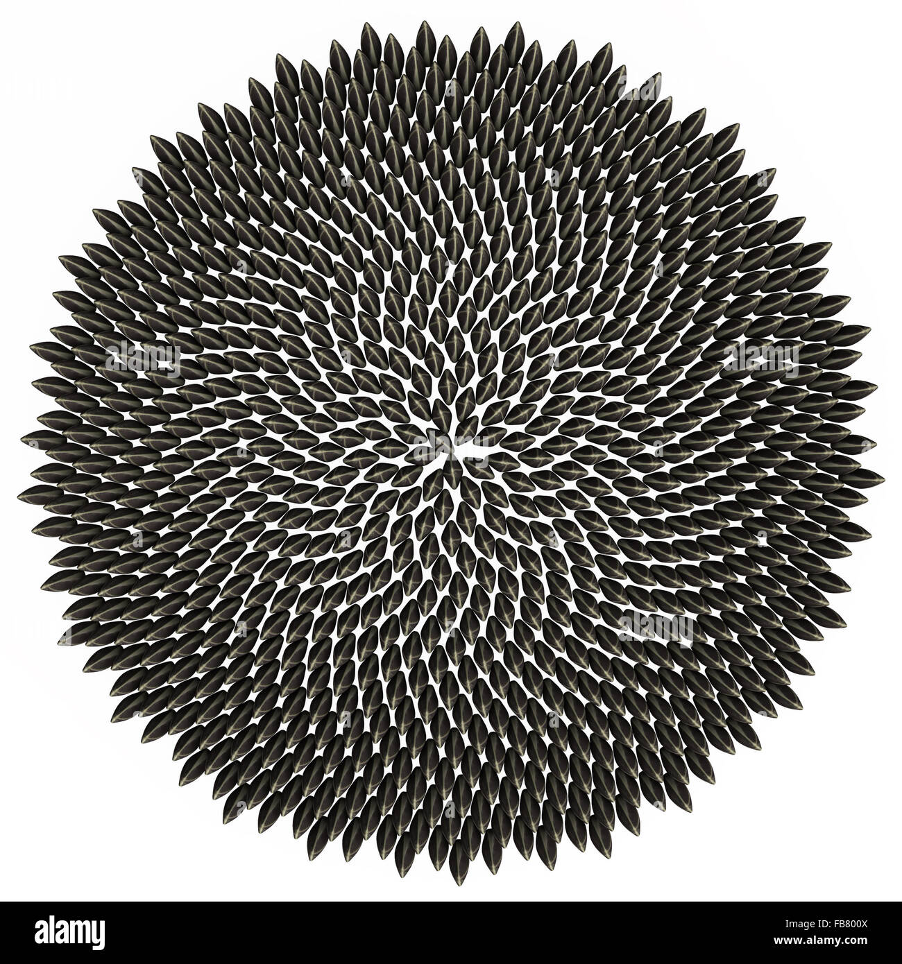Image clipart 3d illustration d'un cercle d'or de Fibonacci de graines de tournesol, sur un fond blanc. Banque D'Images Image clipart 3d illustration d'un cercle d'or de Fibonacci de graines de tournesol, sur un fond blanc. Banque D'Images