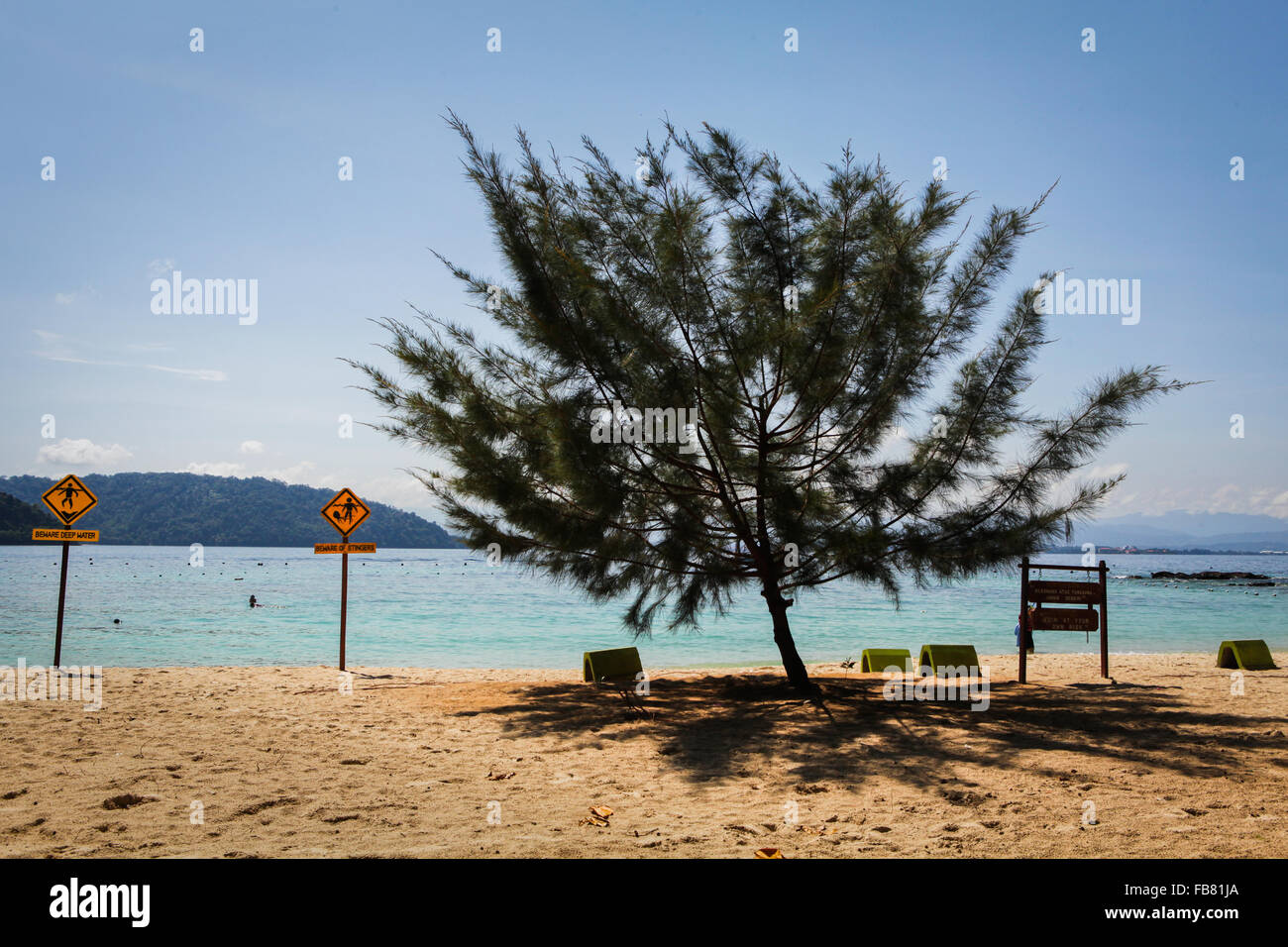 Un arbre casuarina et une signalisation sur la plage de sable tropical de Pulau SAPI (île SAPI), une partie du parc Tunku Abdul Rahman à Sabah, en Malaisie. Banque D'Images
