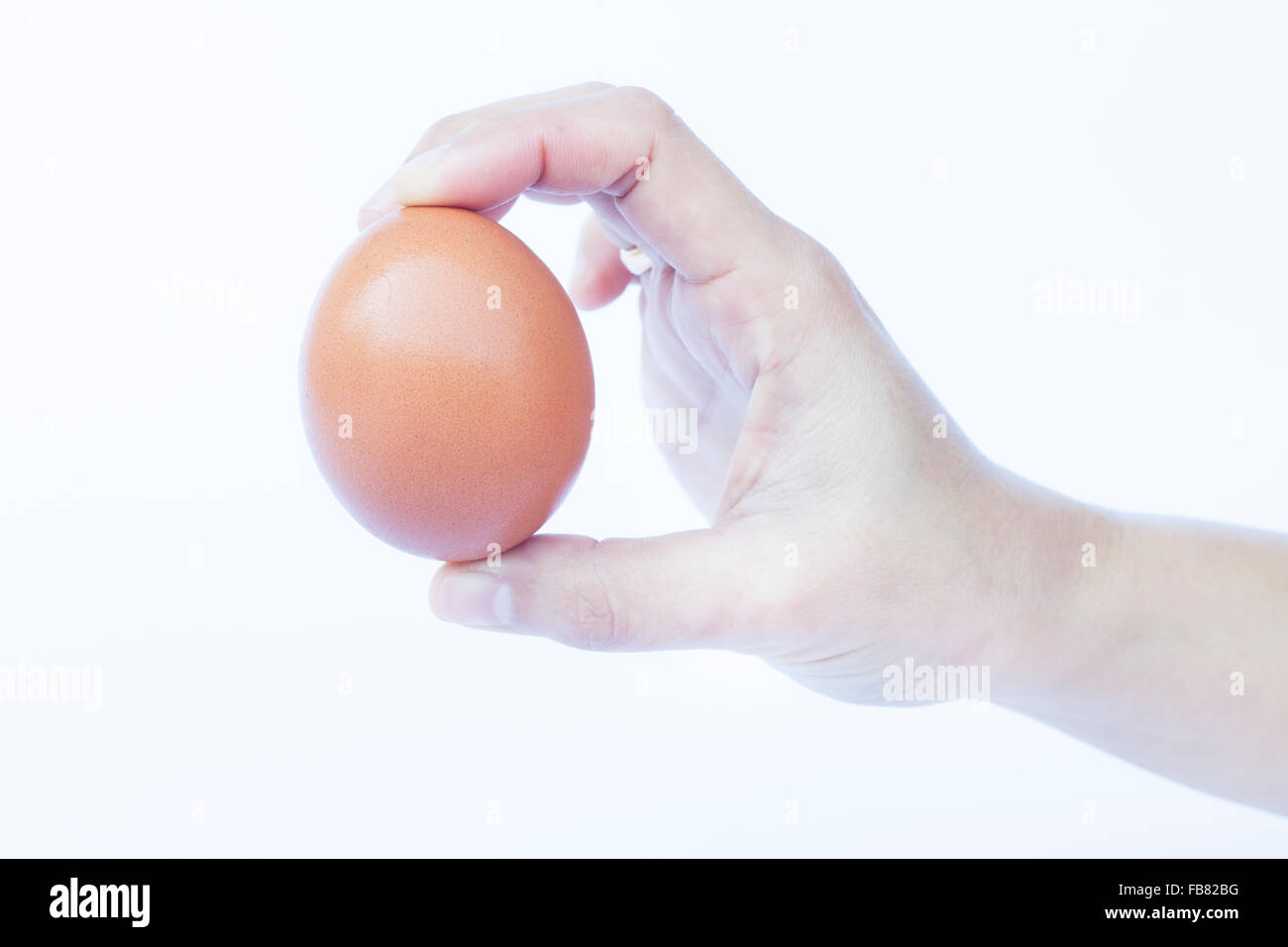 Hand holding egg isolé sur fond blanc, stock photo Banque D'Images