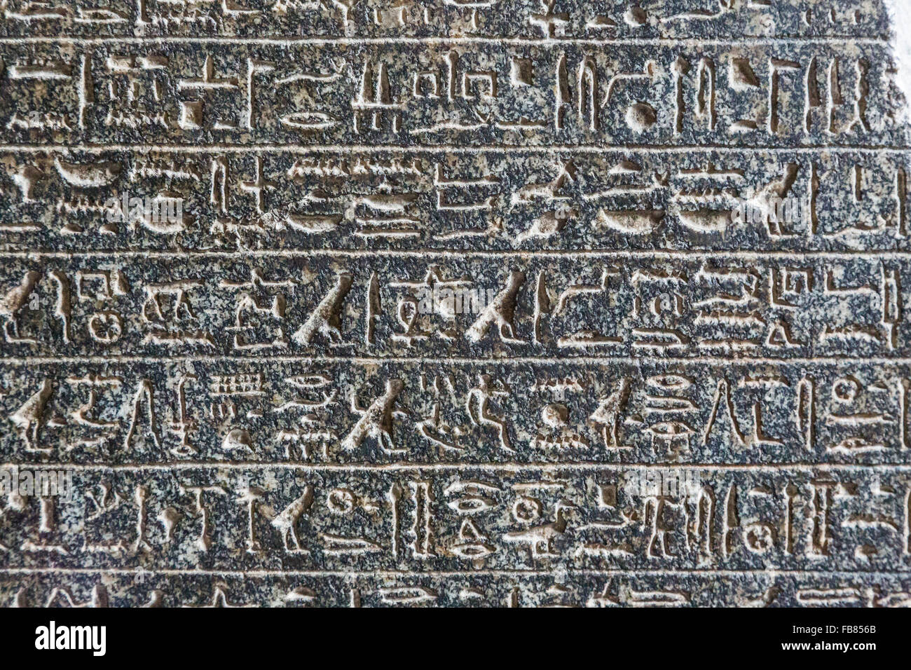 Détail de la stèle hiéroglyphique , le Musée égyptien, Le Caire, Egypte Banque D'Images