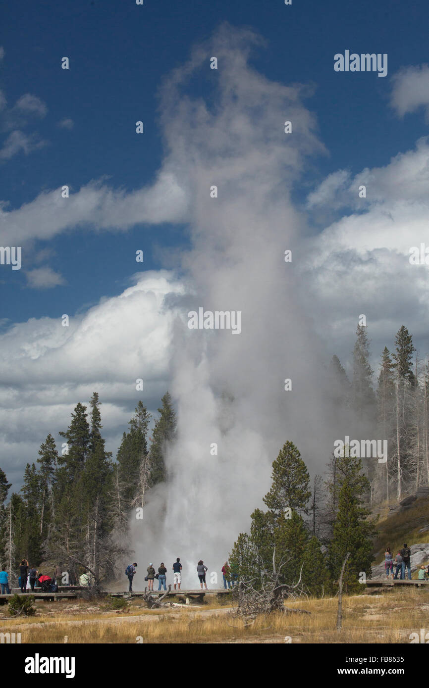 Grand Geyser dans la région de geyser Basin de Parc National de Yellowstone, Wyoming, avec les gens qui regardent le spectacle. Banque D'Images