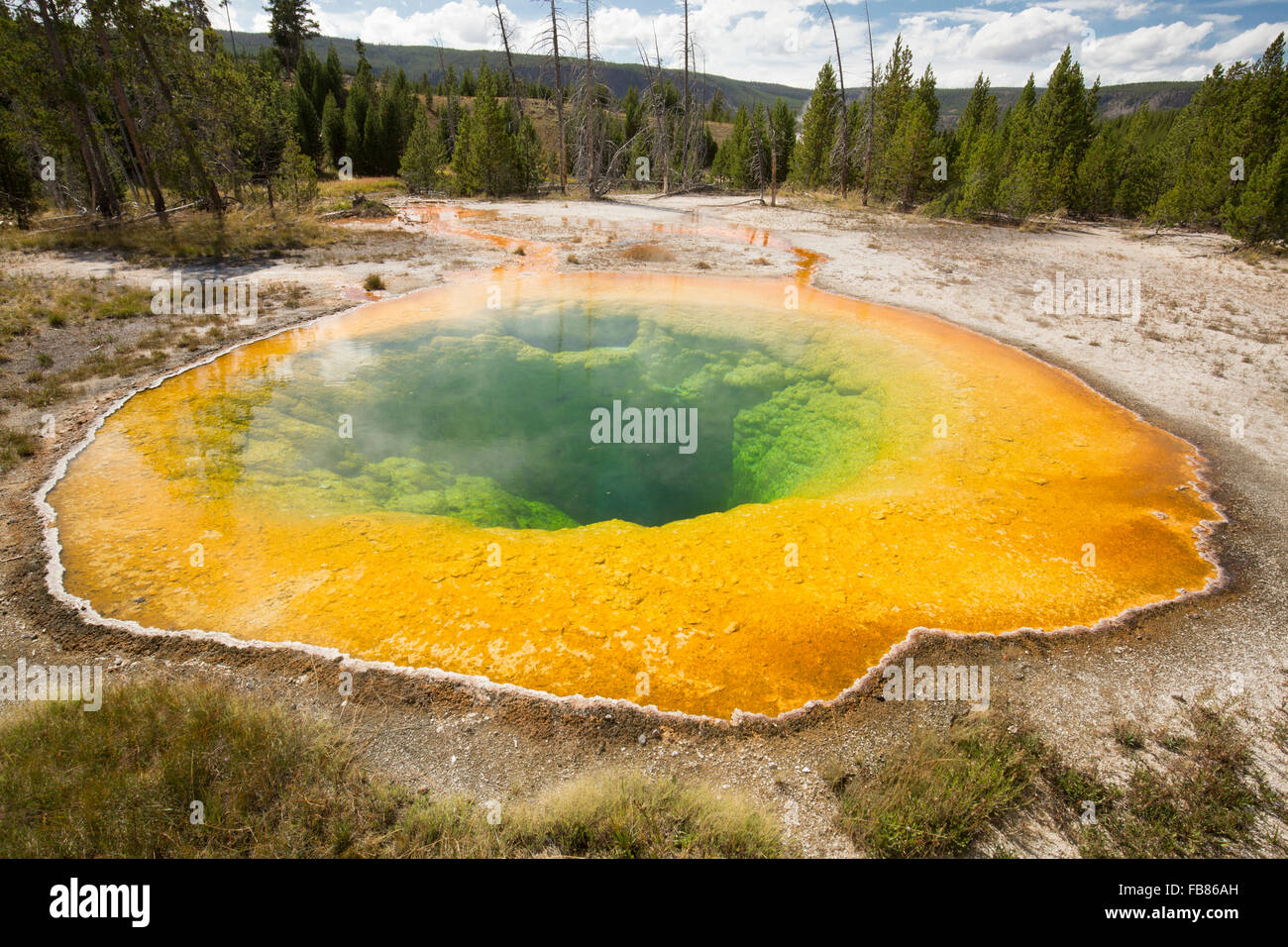 Jante orange vif et vert d'eau d'un matin gloire extérieure dans le coin supérieur Geyser Basin, Parc National de Yellowstone, Wyoming Banque D'Images