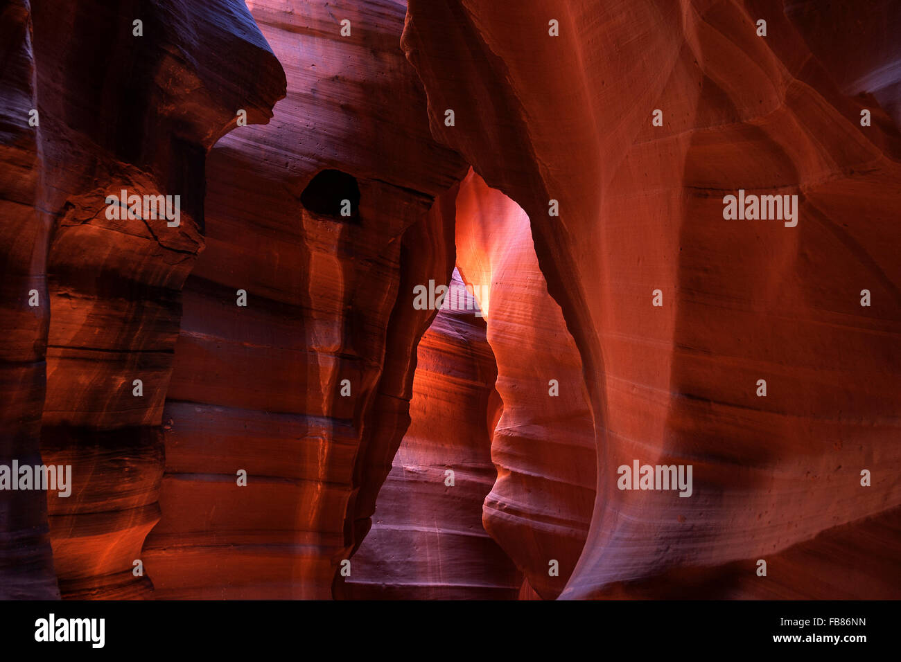 Formations de grès coloré avec la lumière, Upper Antelope Canyon, Slot Canyon, Page, Arizona, USA Banque D'Images