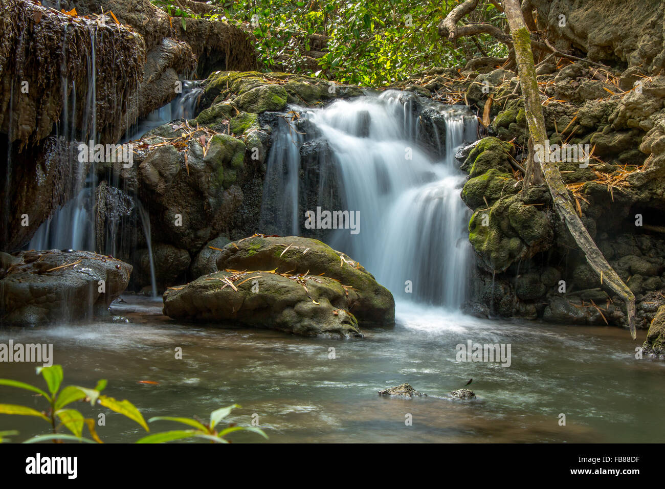 Une belle cascade en Thaïlande. Banque D'Images