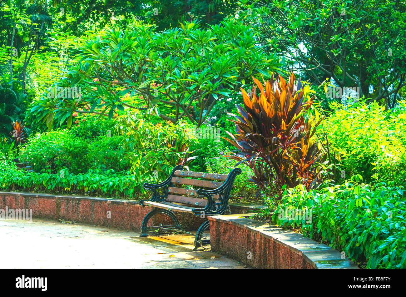 Jardin de plantes et fleurs Horniman dans la ville de Mumbai, Inde,un jardin,plantes et fleurs,horniman,ville,reste,fleurs,flora Banque D'Images