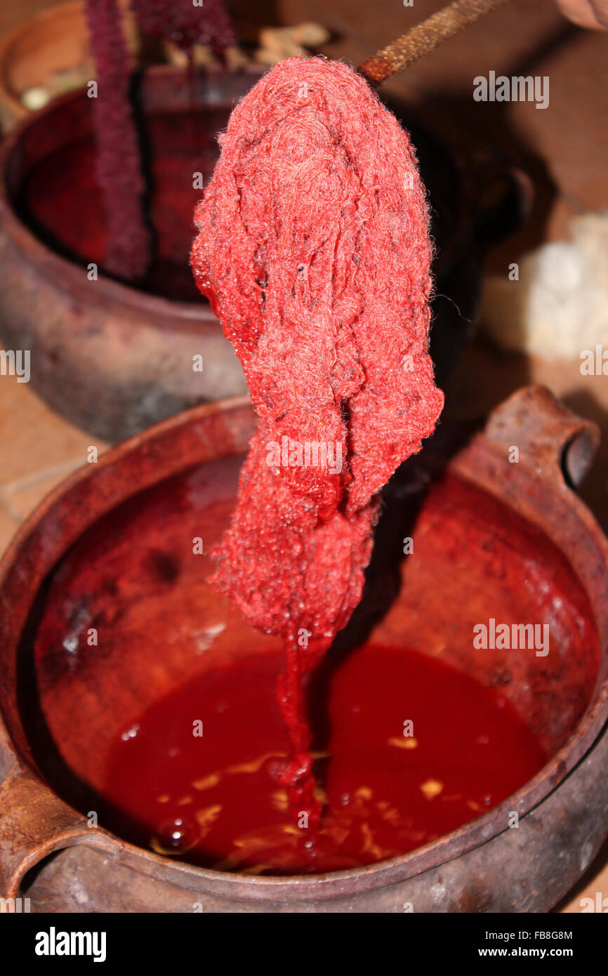 D'alpaga laine teints Crimson avec cochenille produit par la cochenille Dactylopius coccusa Banque D'Images