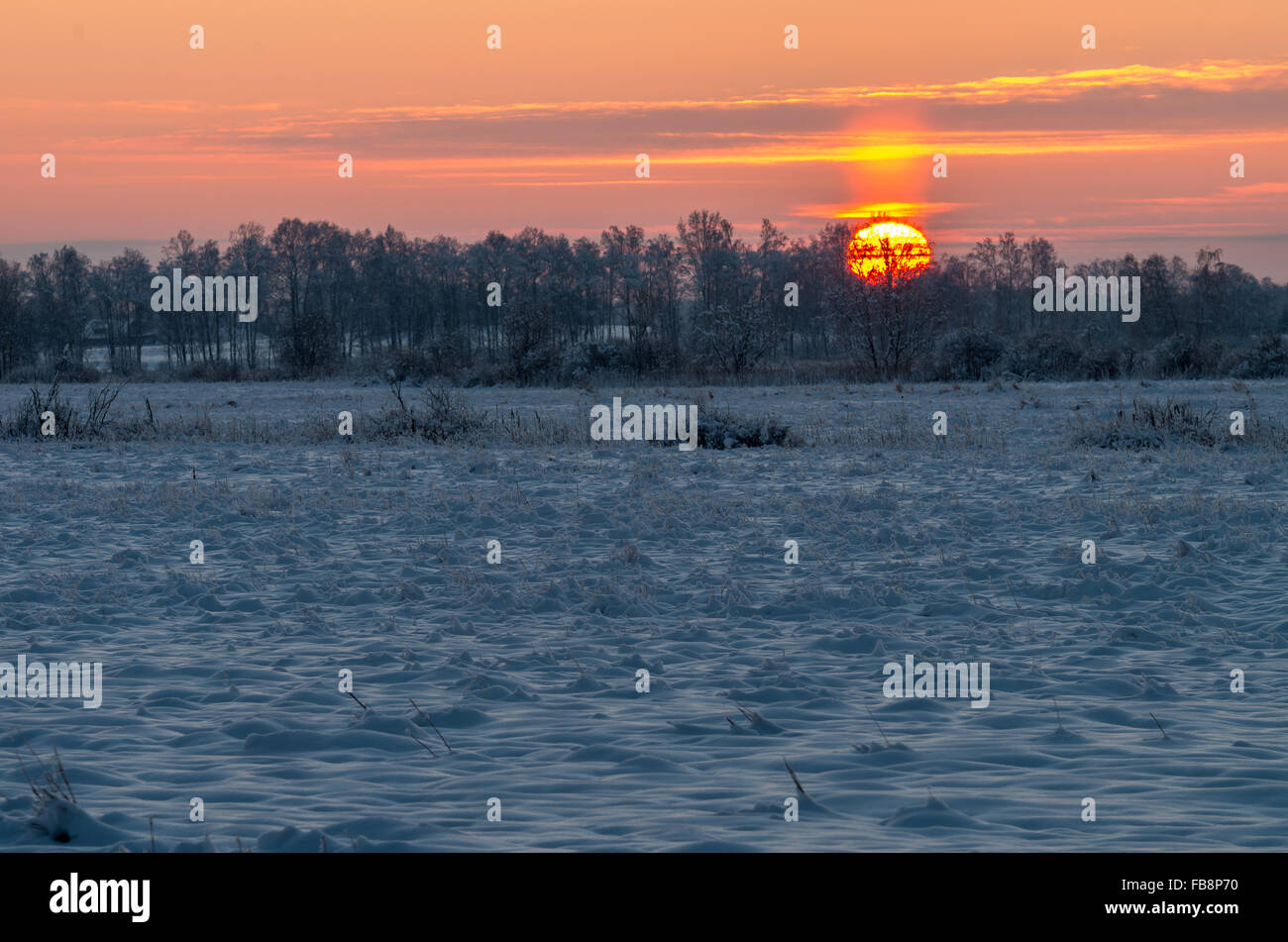 Lever du soleil à la température froide neige frosty field Banque D'Images