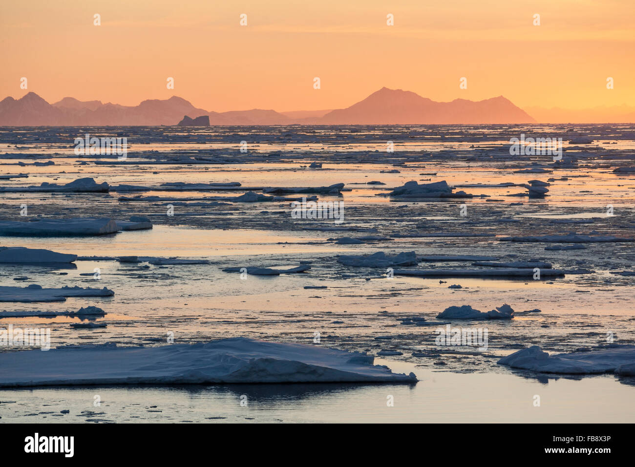 Soleil de minuit et la glace de mer au large de la côte est du Groenland. Banque D'Images