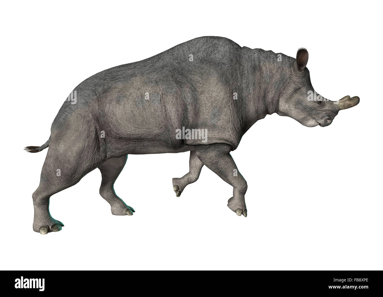 Numérique 3D render of a Brontotherium ou thunder bête isolé sur fond blanc Banque D'Images