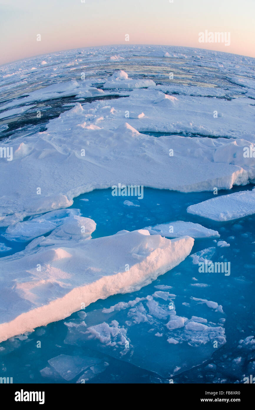 Sur le toit du monde - glace de mer polaire et un horizon courbé Banque D'Images