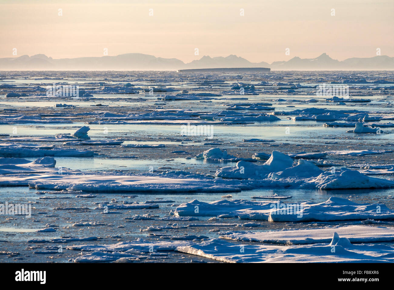 La glace de mer au large de la côte est du Groenland. Banque D'Images
