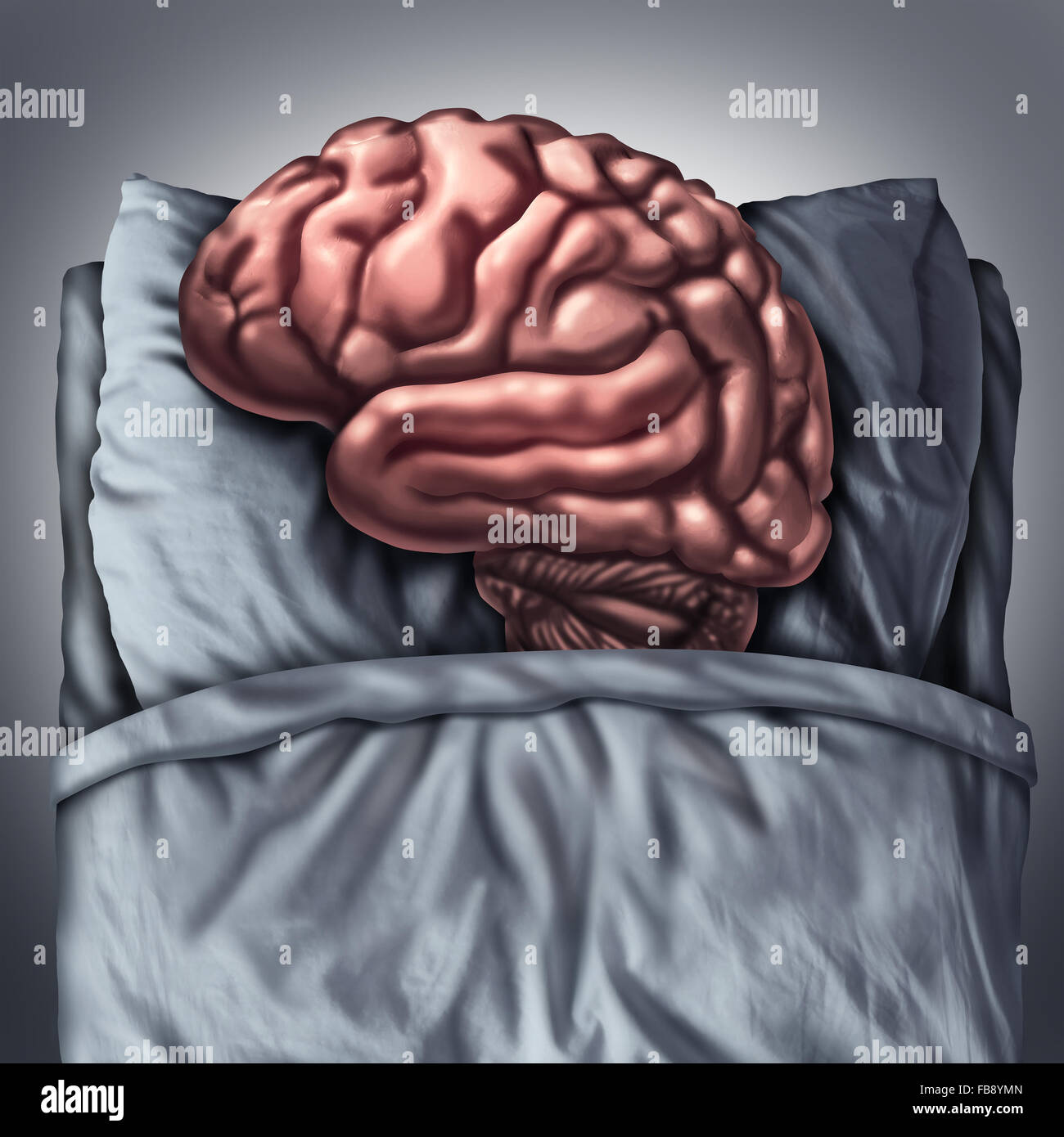 Sommeil cerveau santé et de soins médicaux concept pour avantages de l'organe de la pensée au repos en dormant sur un oreiller dans un lit comme une métaphore neurologique et cognitive pour la méditation et la pensée profonde du traitement. Banque D'Images