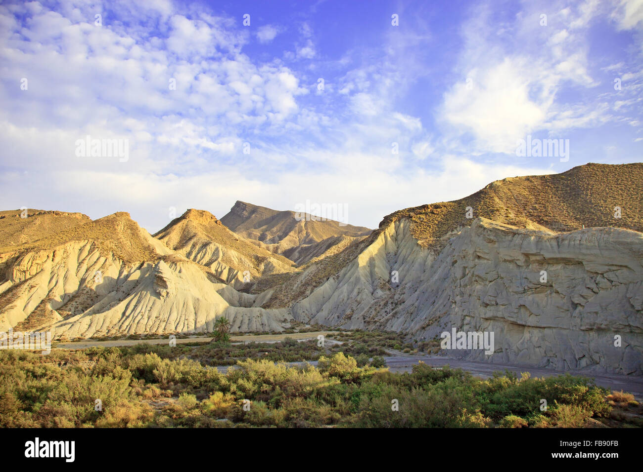 Désert de Tabernas, en espagnol Desierto de Tabernas. L'Europe seulement désert. Almeria, Andalousie, espagne. Sauvages sont Banque D'Images