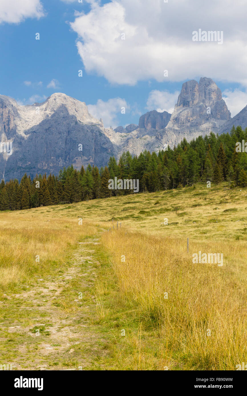 Superbe panorama alpin, groupe Pala de dolomites depuis le lac Calaita, paysage italien Banque D'Images