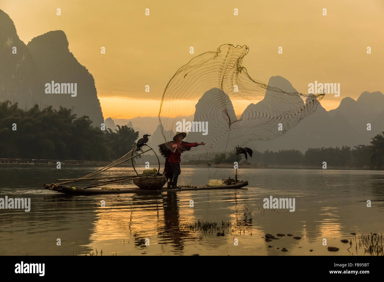 Rivière Li - Xingping, Chine. Janvier 2016 - un vieux pêcheur La pêche avec un filet de pêche. Banque D'Images