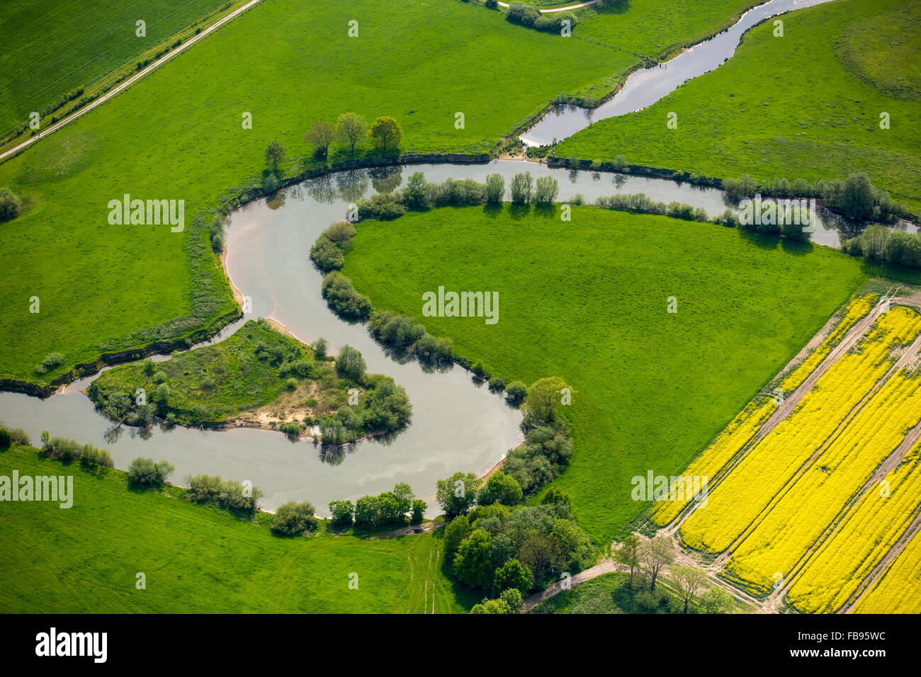 Vue aérienne, dans la rivière Lippe multiples arcs, la Lippe restauration d'Lippeauen dans la région Hamm, Euskirchen, méandre, LIFE  + projet, Banque D'Images